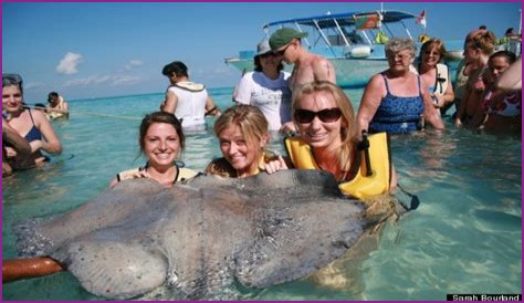 Stingray Photobomb: The Best Picture Ever?